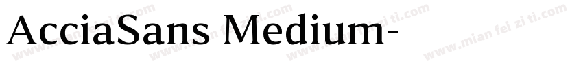 AcciaSans Medium字体转换